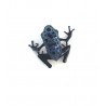 DENDROBATES - Dendrobates tinctorius "Azureus"